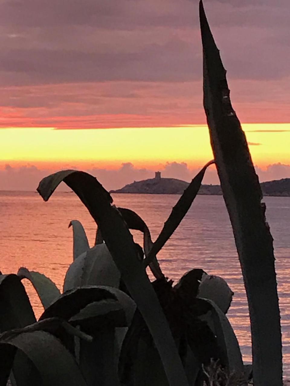 Hotel Thalassa Cargèse Eksteriør billede